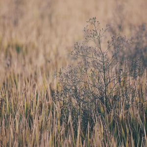 疯狂四P群体交乱
